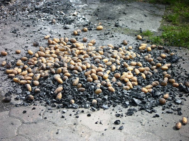 LPIC4807.JPG - EXS0���FINEAUTO 100SYNC���FULLFULLMEDINORMNORMNORM`È������� �=�n��¥�Þ�Ò&!Qa\¡nv¶§ ©Æ·*7qh/Ð¸L�×�º�´��@�/